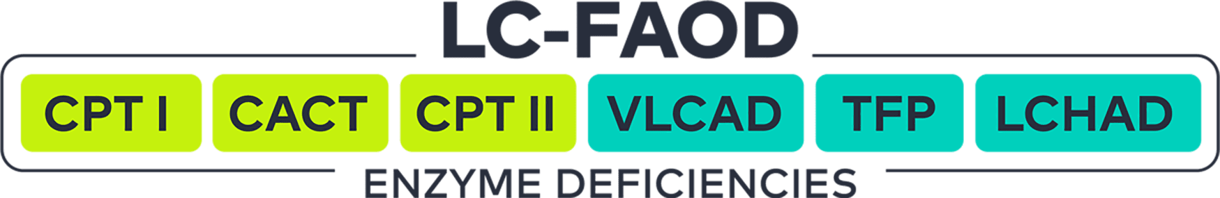 Chart of LC-FAOD ENZYME DEFICIENTCIES